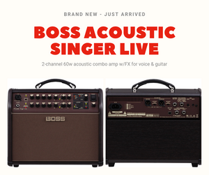 Boss Acoustic Singer Live - 2 channel 60W acoustic combo amp w/FX for voice & guitar