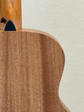Taylor GS Mini Mahogany SN:2206255125