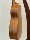 Taylor GS Mini Mahogany SN:2206255125