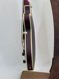 Used 2022 D'Angelico Deluxe SS SN:W2200040