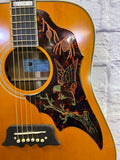 Used - 2022 Epiphone FT-120 SN:22072308478