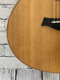 Taylor GS Mini SN:2208246187