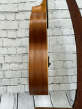 Taylor GS Mini SN:2208246167