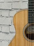 Taylor GS Mini SN:2208246180