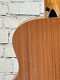 Taylor GS Mini SN:2208246168