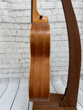 Taylor GS Mini SN:2208246168