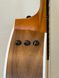 Taylor 214ce SN:2206205274
