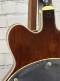 Used 1969 Gretsch Chet Atkins Country Gentleman SN:2969