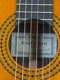 Used Yamaha GC22C SN:III220230