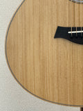 Taylor GS Mini SN:2207295092