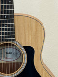 Taylor GS Mini SN:2207295092