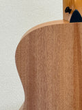 Taylor GS Mini SN:2207295092