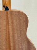 Taylor GS Mini SN:2207295092