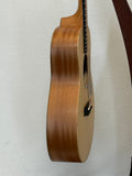 Taylor GS Mini SN:2207295092