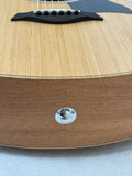 Taylor GS Mini SN:2207295092