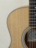 Taylor GS Mini SN:2207295099