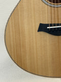 Taylor GS Mini SN:2207295099