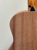 Taylor GS Mini SN:2207295099
