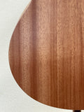 Taylor GS Mini SN:2207295099