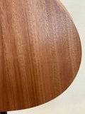 Taylor GS Mini SN:2207295099