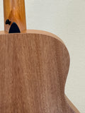 Taylor GS Mini SN:2207295099