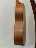 Taylor GS Mini SN:2207295099