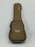 Taylor GS Mini SN:2207295099