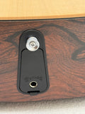 Martin GPC-X2E Cocobolo SN:2972580