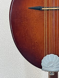 Used Seagull S8 Mandolin Burnt Umber SG SN:041596000019