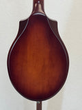 Used Seagull S8 Mandolin Burnt Umber SG SN:041596000019
