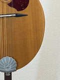 Used Seagull S8 Mandolin Natural SN039081900061
