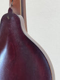 Used 1920's Gibson A Style Mandolin