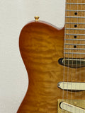 Used Wild Horse Telecaster