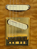 Used Wild Horse Telecaster