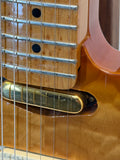 Used Wild Horse Telecaster