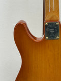 Used Wild Horse Telecaster