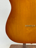 Used Wild Horse Telecaster