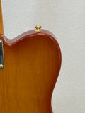 Used Wild Horse Telecaster