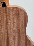 Taylor GS Mini Mahogany SN:2203214148