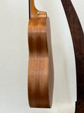 Taylor GS Mini Sapele SN:2204094197