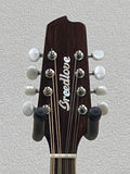 Used Breedlove Crossover Mandolin