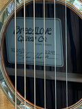 Used 1998 Breedlove RD20/E