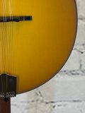 Eastman PCH-M104 Goldburst SN:M2451855