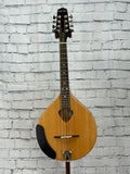 Used 2021 Gold Tone Mandola SN:21512249