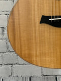 Taylor GS Mini SN:2202246274