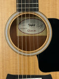Taylor GS Mini SN:2202246274
