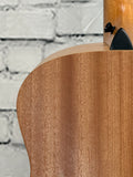 Taylor GS Mini SN:2202246274
