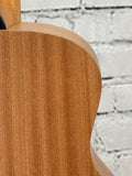 Taylor GS Mini SN:2202246274