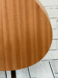 Taylor GS Mini SN:2202246274