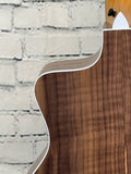 Taylor 214ce SN:2204016325